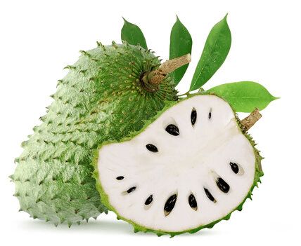 Soursop